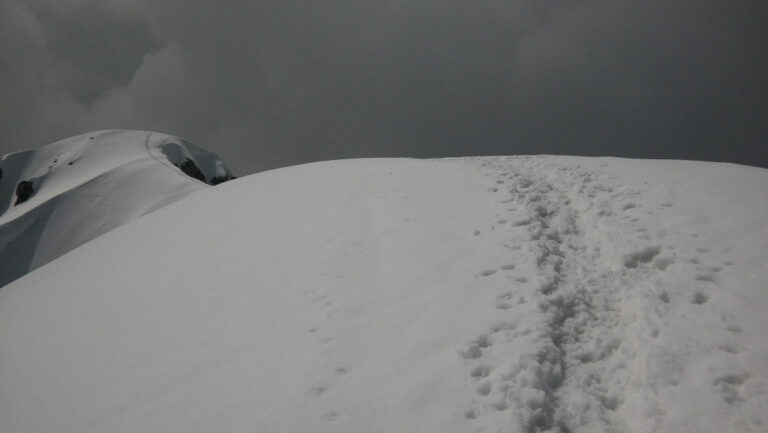 Canalone dei Camosci