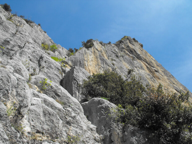 Le Strane Voglie di Amelie in Sarca